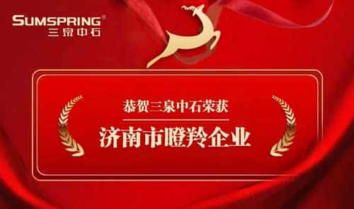 Sumspring三泉中石被認(rèn)定為“瞪羚企業(yè)”(圖1) Sumspring三泉中石被認(rèn)定為“瞪羚企業(yè)”(圖1)